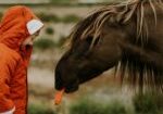 Boy in coat feeding carrot to horse